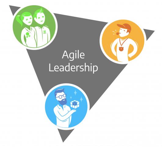 Agile leadership triangle